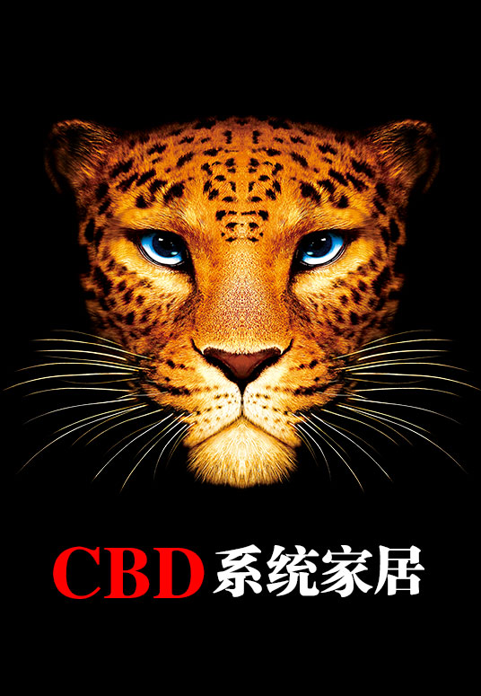 CBD系统家居